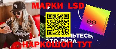 крисы Абакан