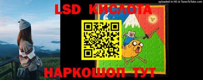 крисы Абакан