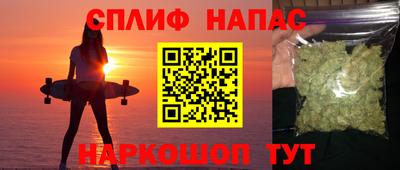 крисы Абакан