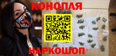 крисы Абакан