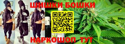 крисы Абакан