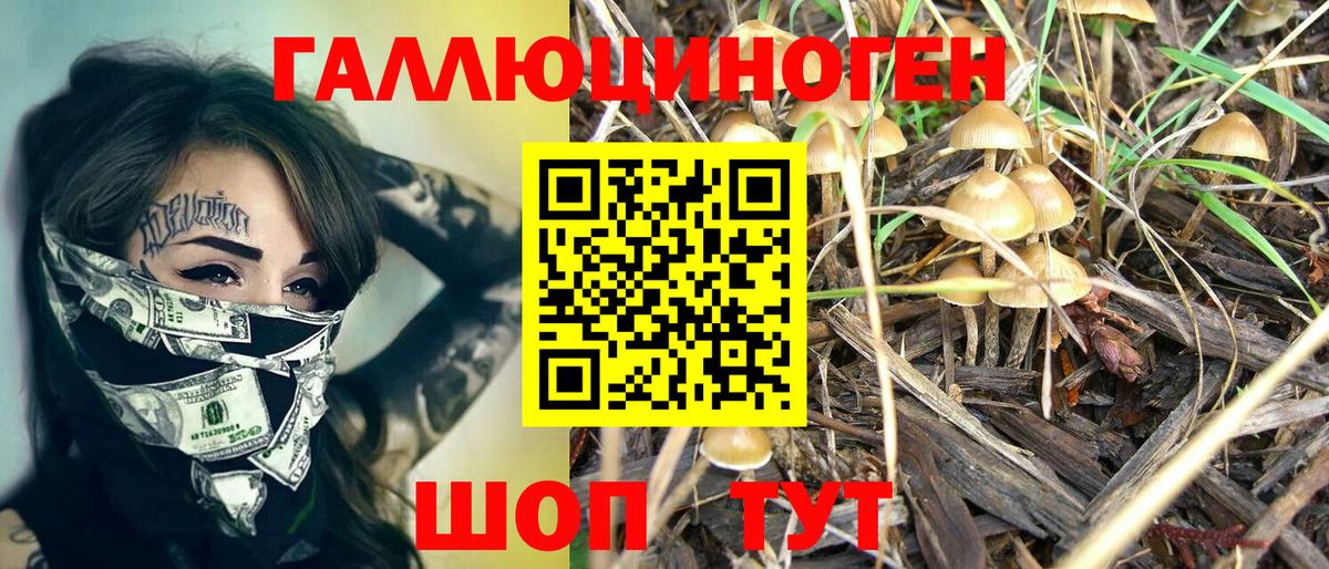 Псилоцибиновые грибы Magic Shrooms Балабаново